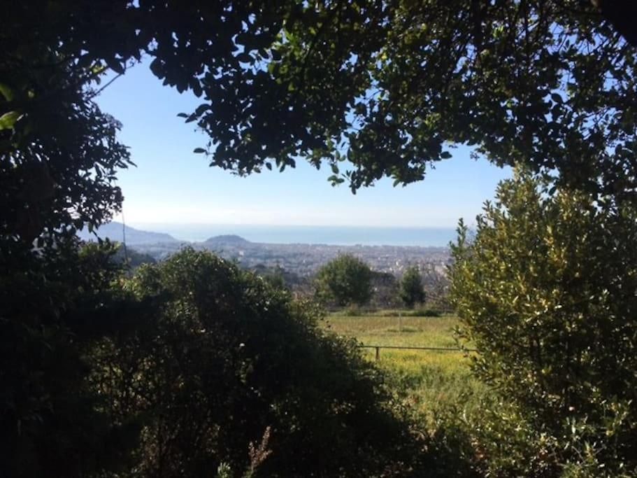 Maison De Charme Dans Les Collines Niçoises Hébergement de vacances