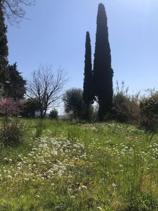 Maison De Charme Dans Les Collines Niçoises Hébergement de vacances