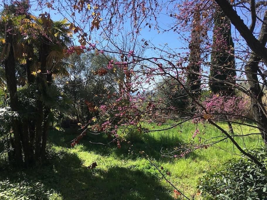 Maison De Charme Dans Les Collines Niçoises *