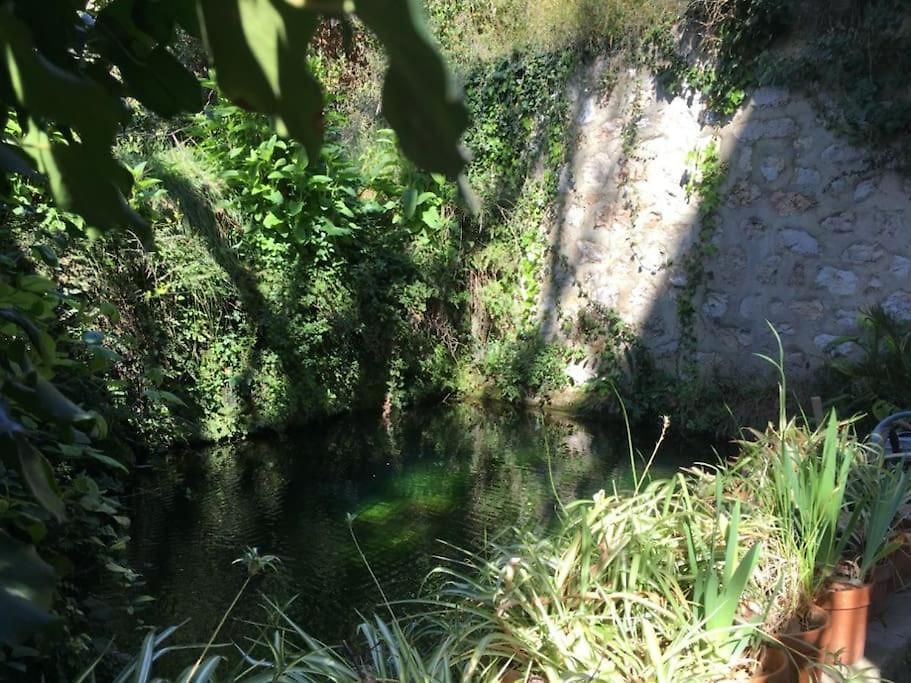 Hébergement de vacances Maison De Charme Dans Les Collines Niçoises *