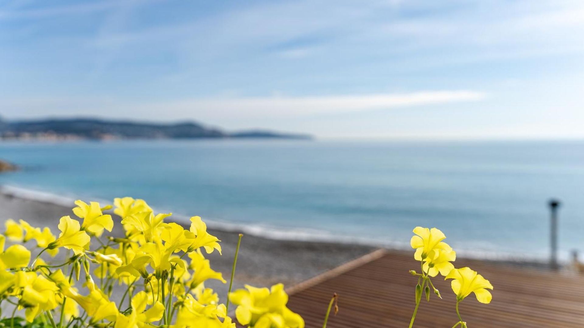 Promenade Des - 2 - Jardin *