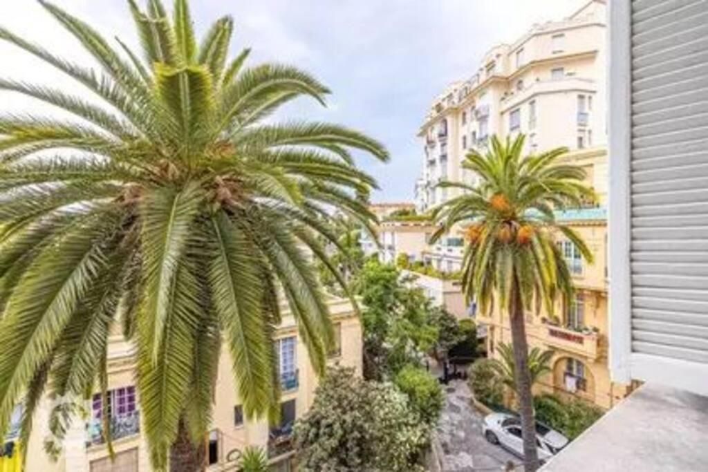 Bright, Newly Renovated Appartement