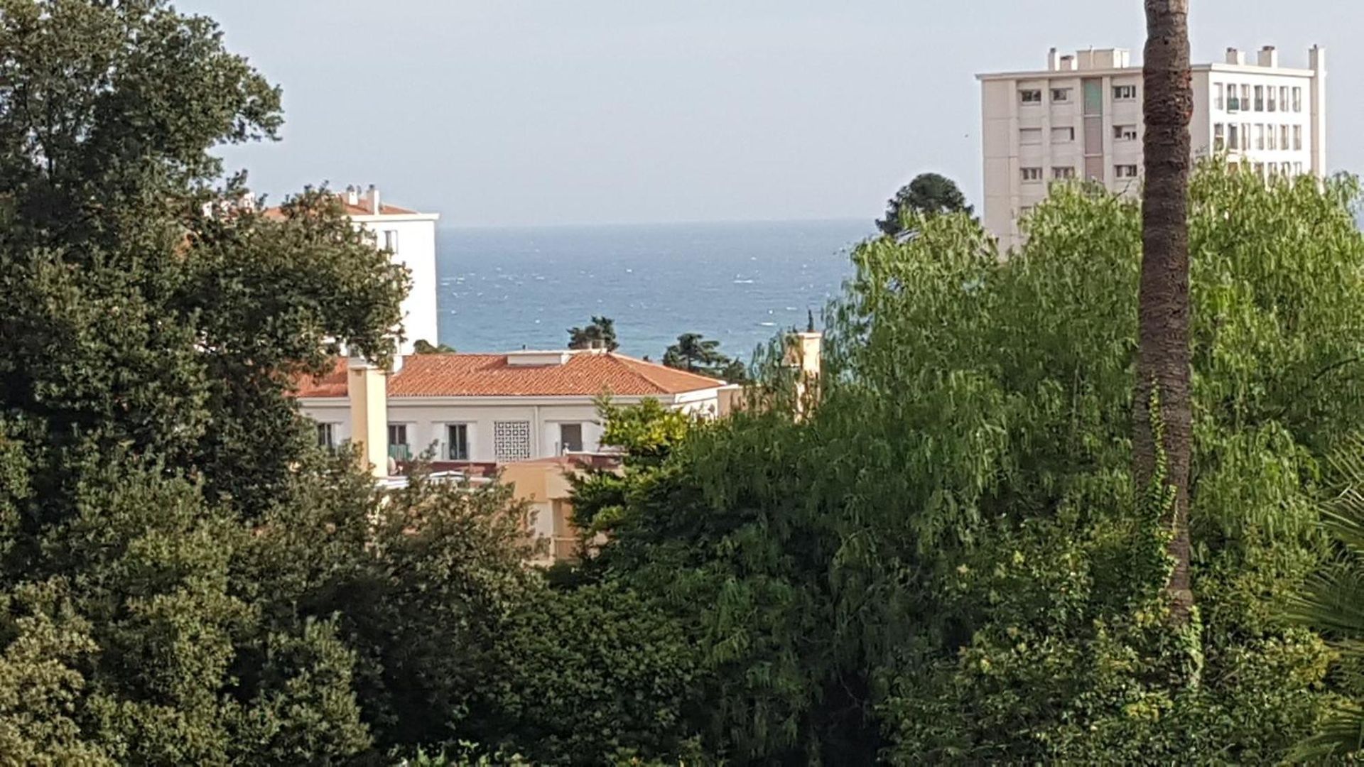 Les Palmiers à 700m De La