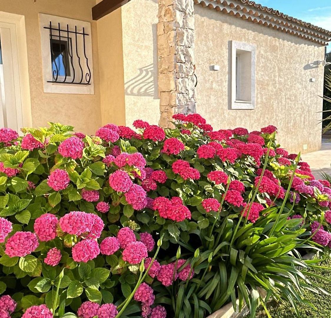 Duplex Oliveraie Piscine Au Sel Marin Et Parking Apartment Nice