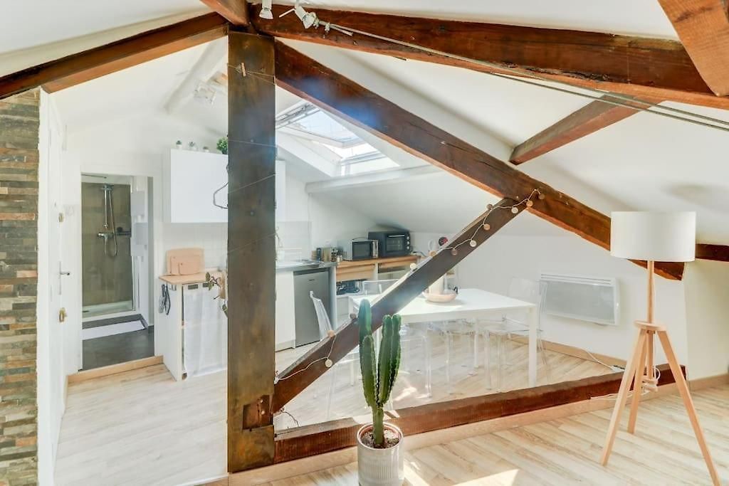 Joli Loft Mansardé Appartement