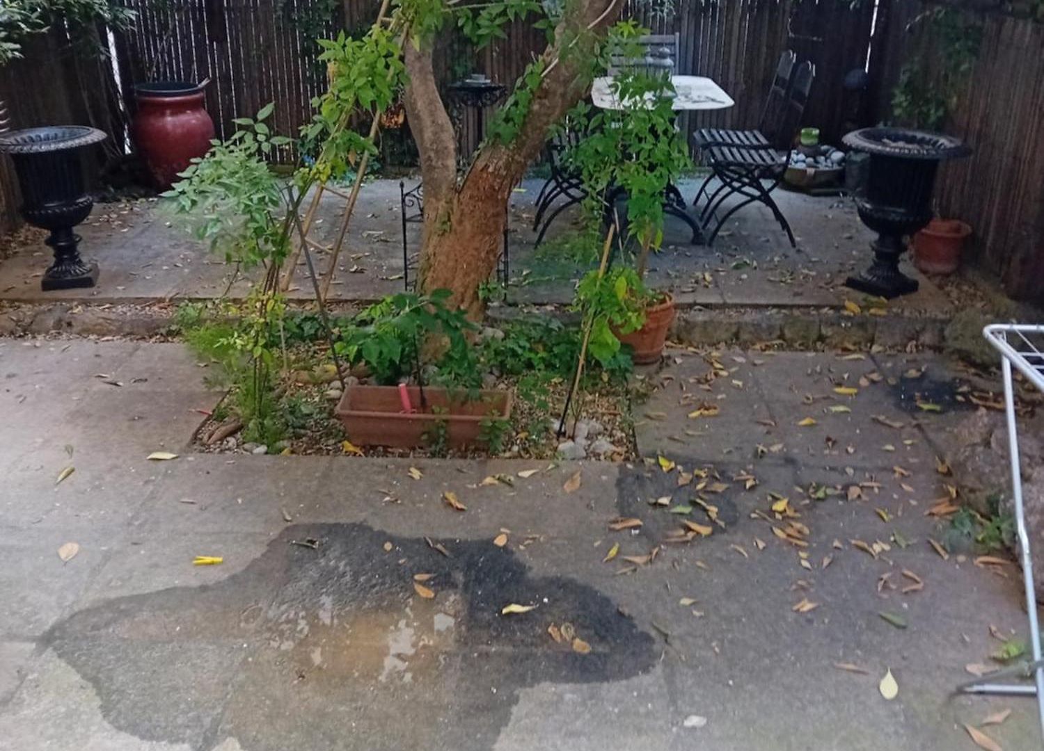 Little Garden