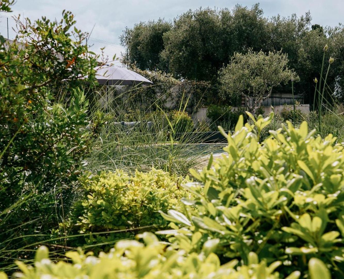 Villa Prestigieuse De Cremat *