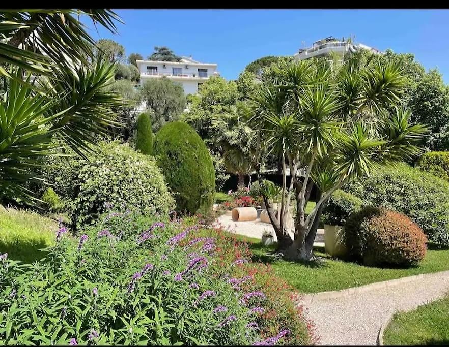 Magnificent 3 Rooms-sea View-terrace-pool Appartement
