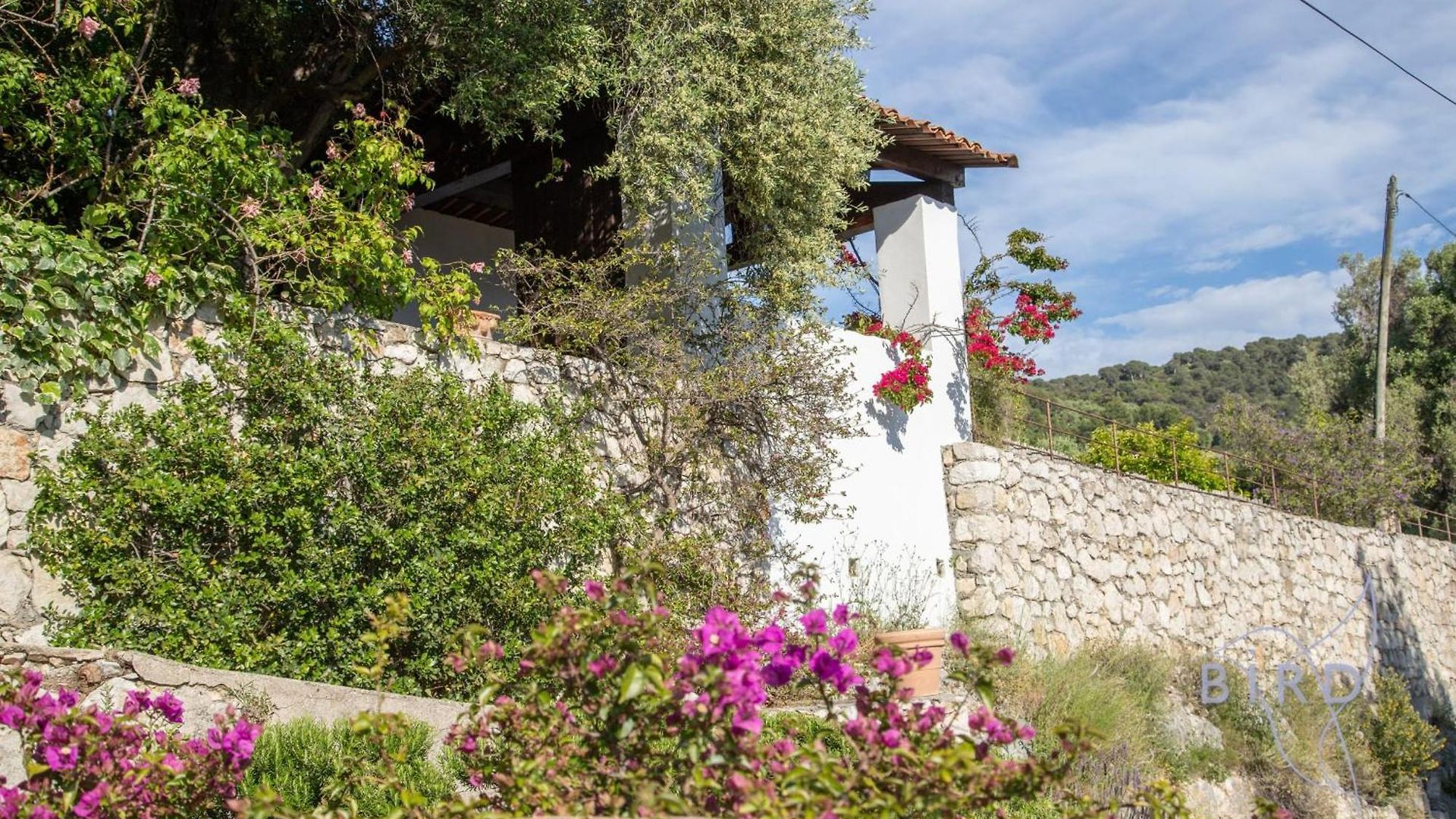 Villa Bonnard In Sea And View & Pool Nice