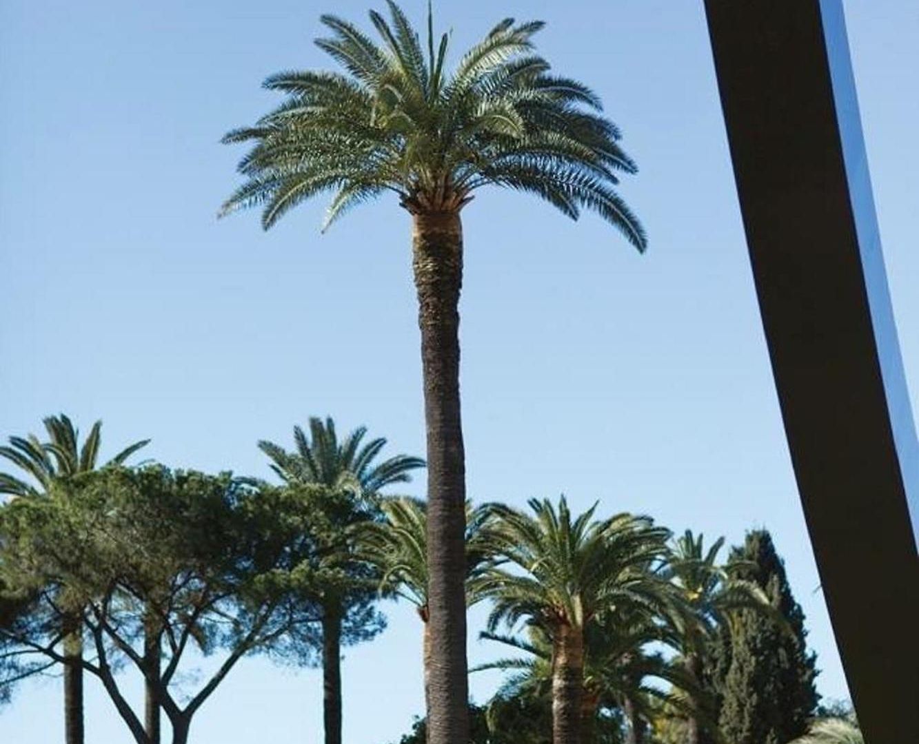 Splendide, Refait A Neuf, Climatise, A 1mn- 