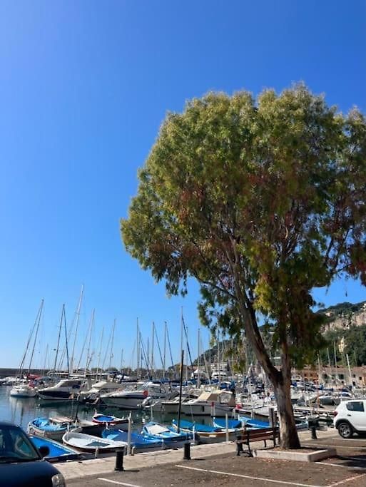 Appartement - Amazing Flat To 10 Min To Sea - Garden *