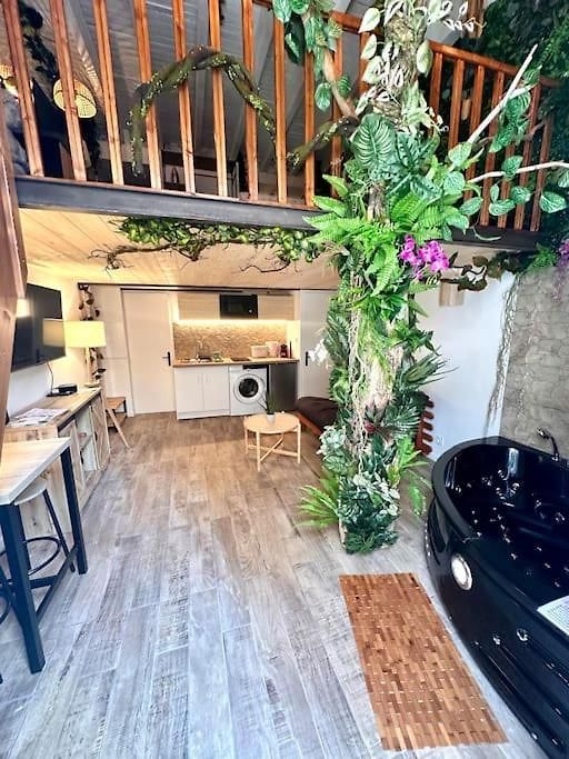 Jungle Avec Jaccuzi Au Coeur De Appartement