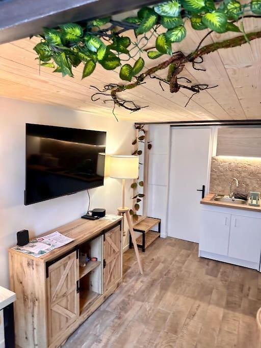 Jungle Avec Jaccuzi Au Coeur De Appartement *
