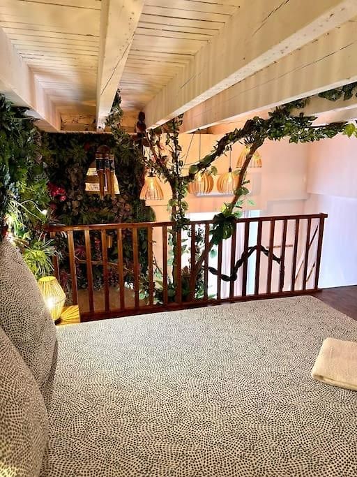 Appartement Jungle Avec Jaccuzi Au Coeur De *