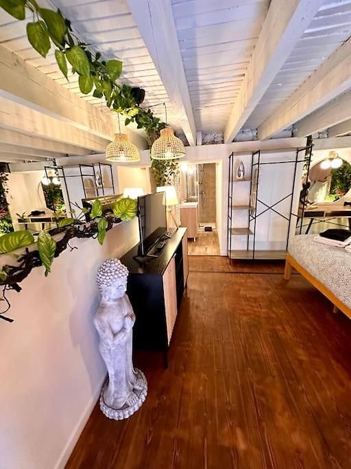 Appartement Jungle Avec Jaccuzi Au Coeur De Nice