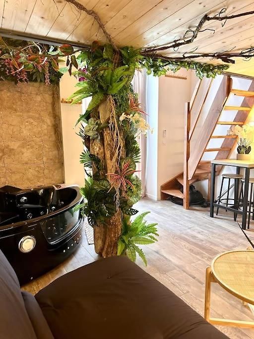 Jungle Avec Jaccuzi Au Coeur De Nice