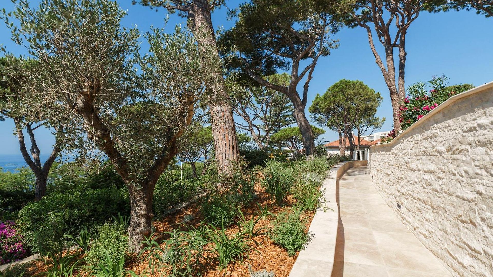 Balcon Sur La Mediterranee Apartment