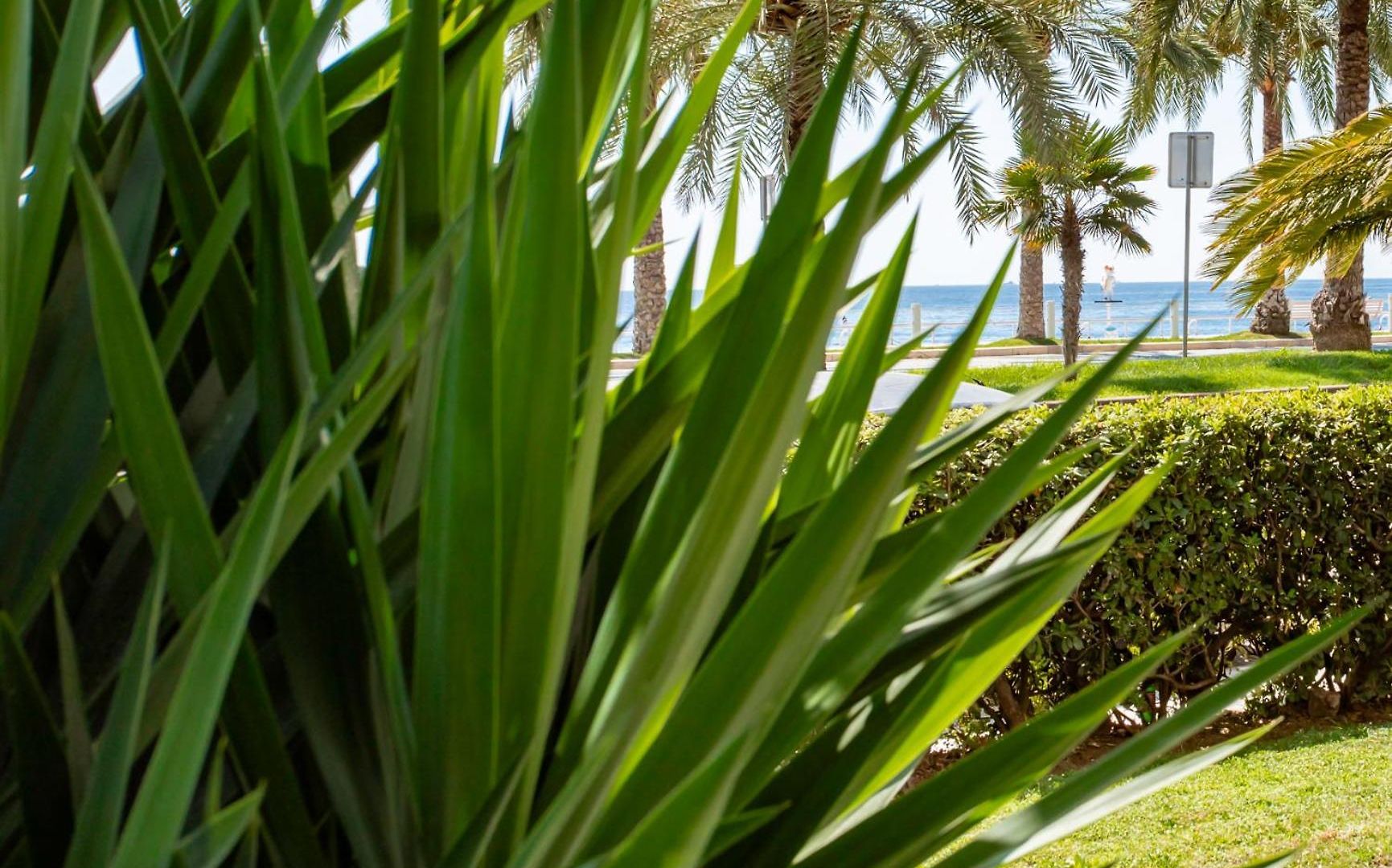 Appartement L54 Staywizus - 1bdr Promenade Sea View Ac & Balcony *