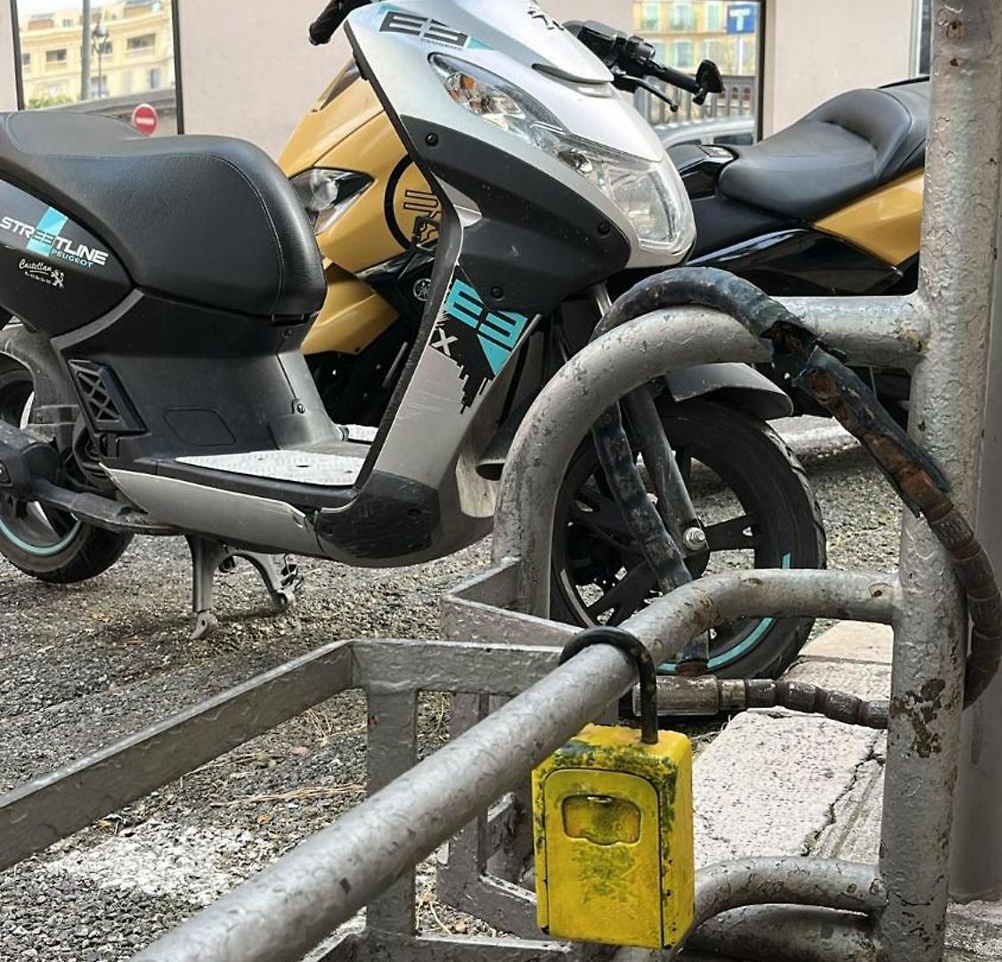 Studette En Plein Cœur Du Vieux Appartement