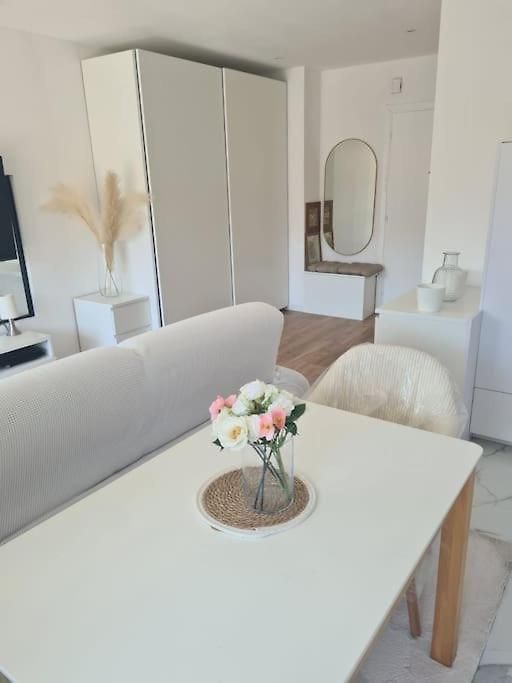 Superbe Luxueux Spacieux 50 M2 Port Appartement Nice