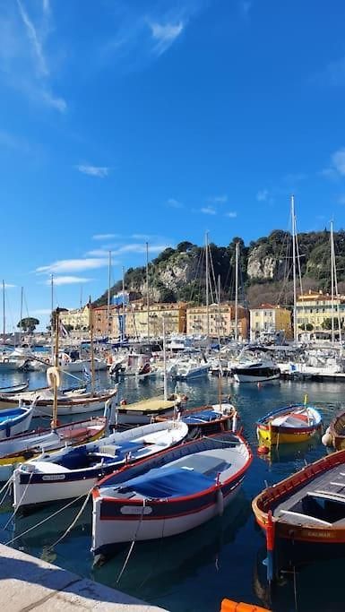 Appartement 2p Rénové Avec Terrasse Au Port De