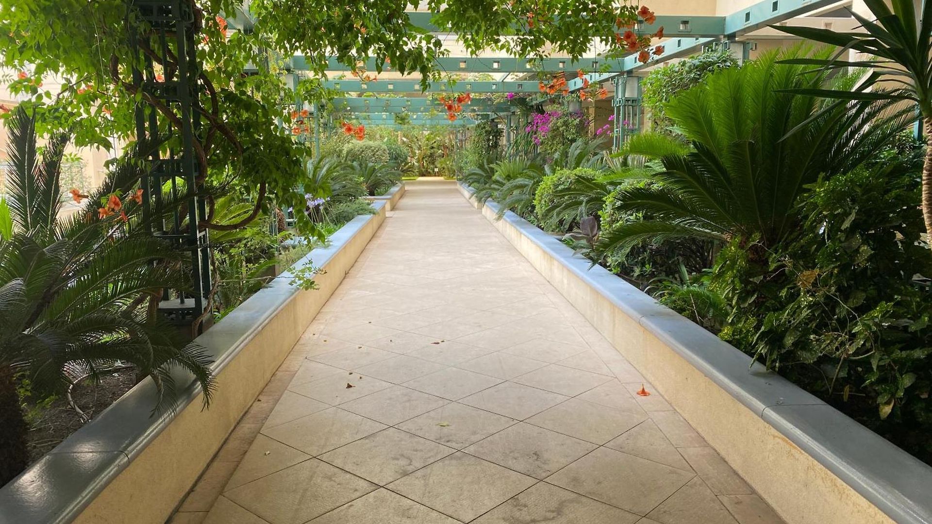 Le Grand Palais De La Méditerranée - Luxury 2br In Hyatt Residence, Direct Access, Promenade Des - Choice In