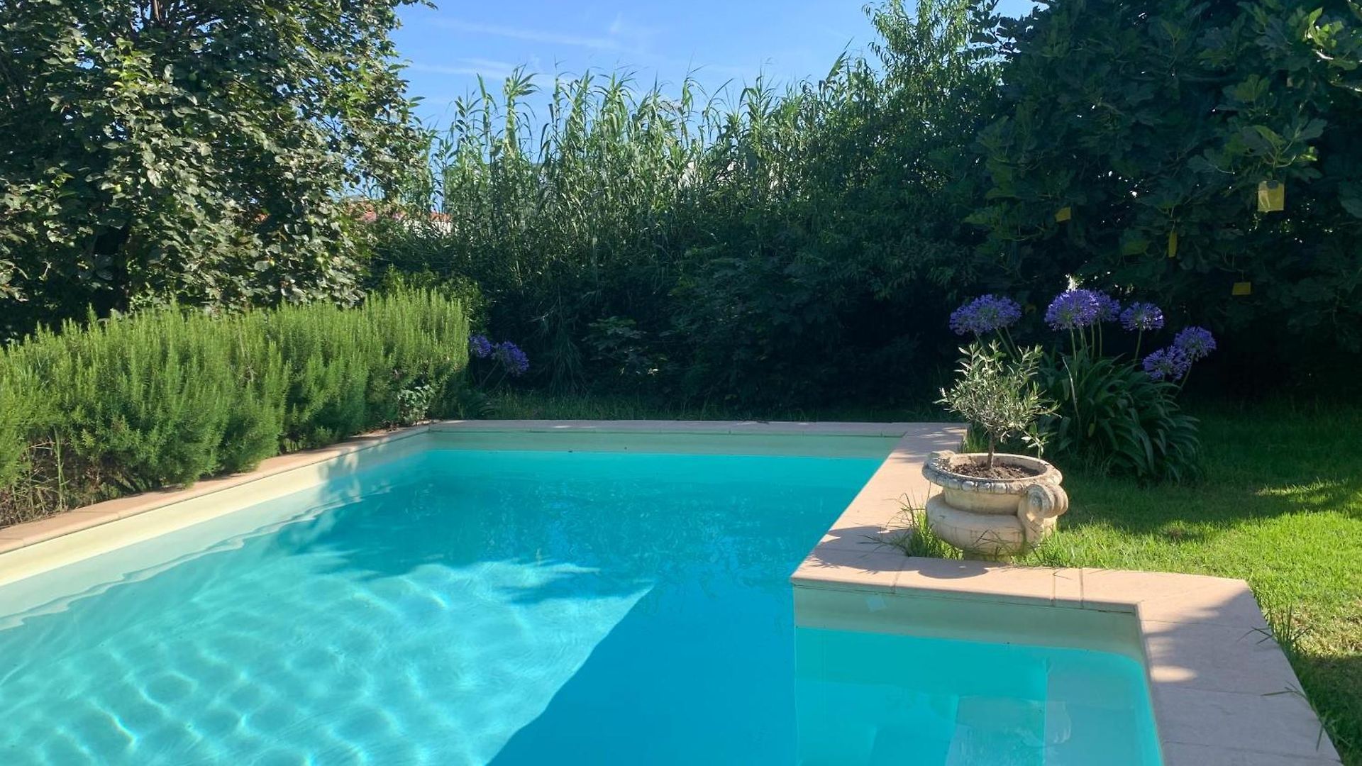 La Campagne En Piscine, Jardins Et 2 Confort Apartment *