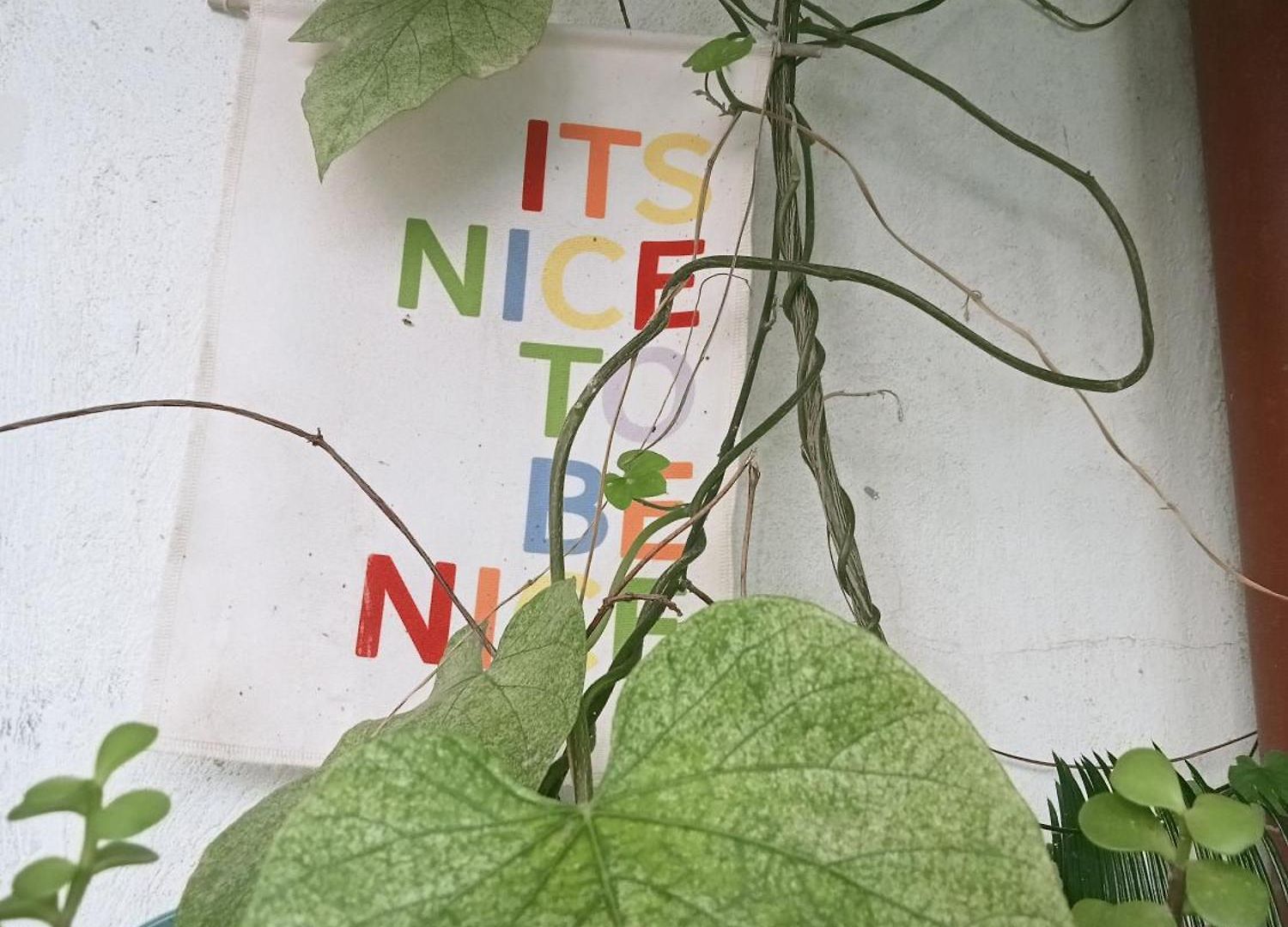 Un Jardin En Apartment Nice