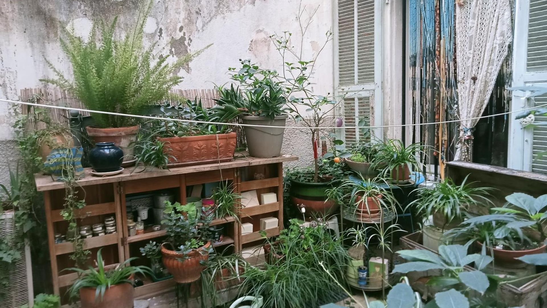 Un Jardin En *