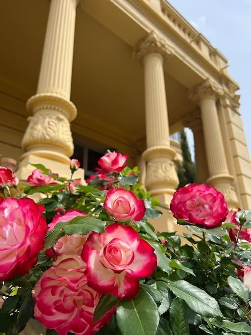 Exceptionnel Belle époque Avec Grande Terrasse Plein Sud *