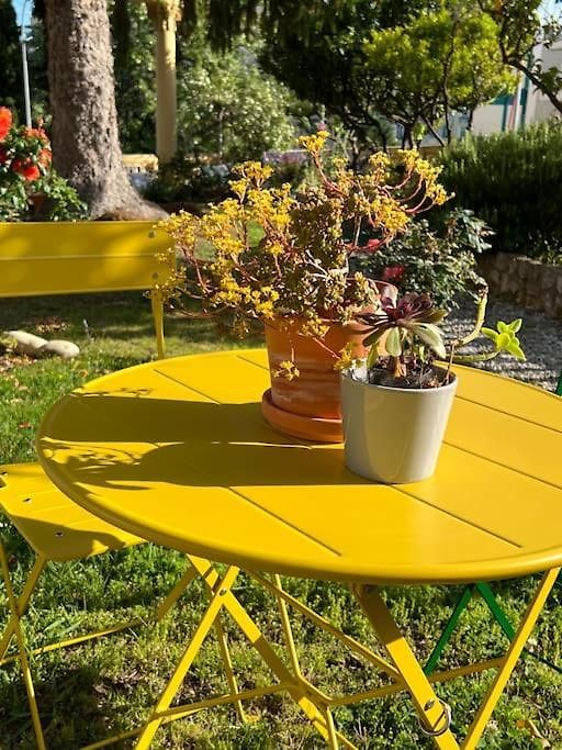 Exceptionnel Belle époque Avec Grande Terrasse Plein Sud Appartement