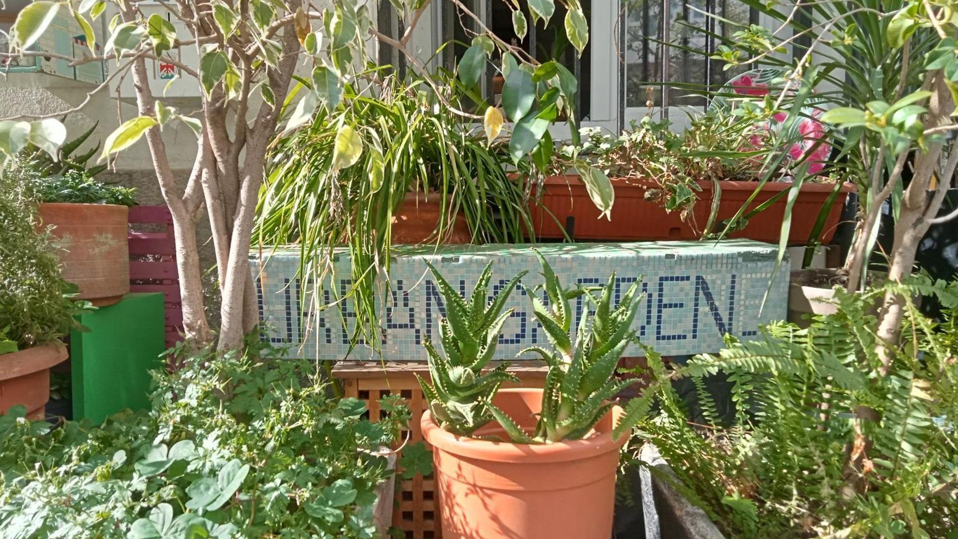Un Jardin En * Nice