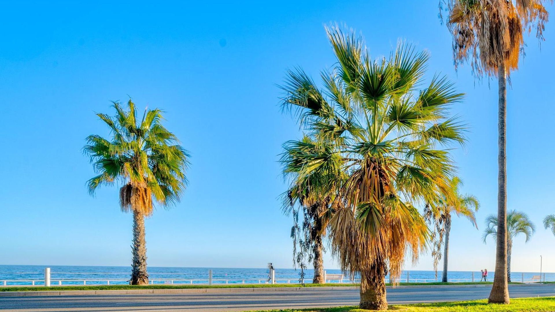 Cosy 2p Promenade Des Apartment *