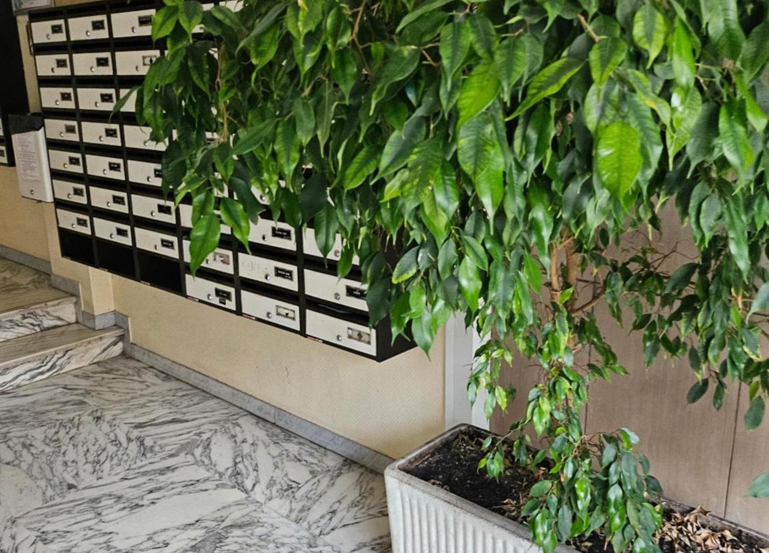 Appartement Ouest *