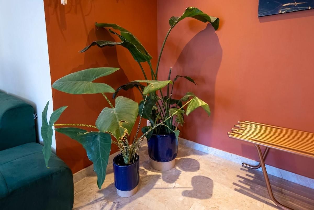 Spacious And Pleasant 3 Bedroom Flat Appartement