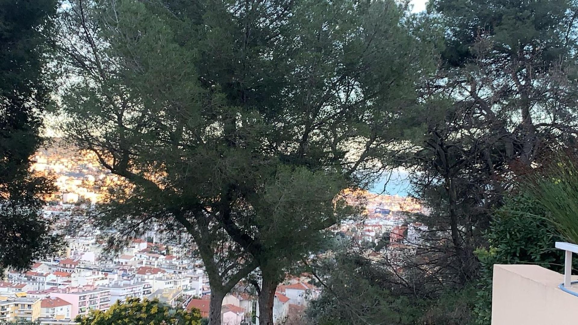 Homestay D Avec Clim Terrasse Et Petit Dejeuner Hauteurs De Nice