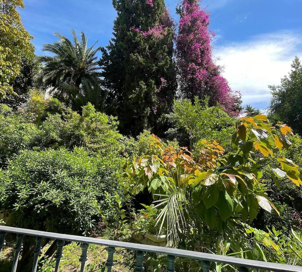 Carré D'or, Superbe Sur Jardin, élégant Et Ensoleillé Appartement Nice
