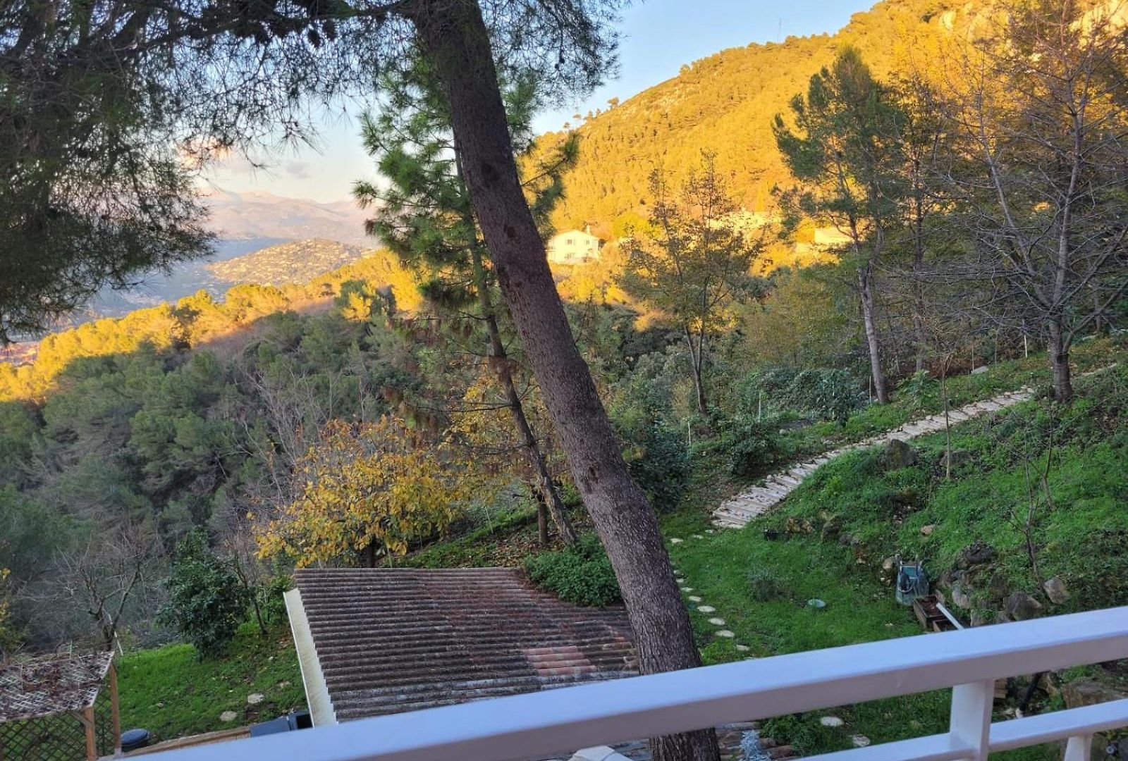 Dans Don Quijote Appartement *