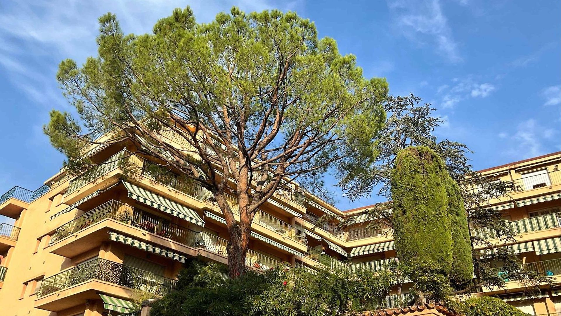 Lympia - One Bedroom Near The Port Nice