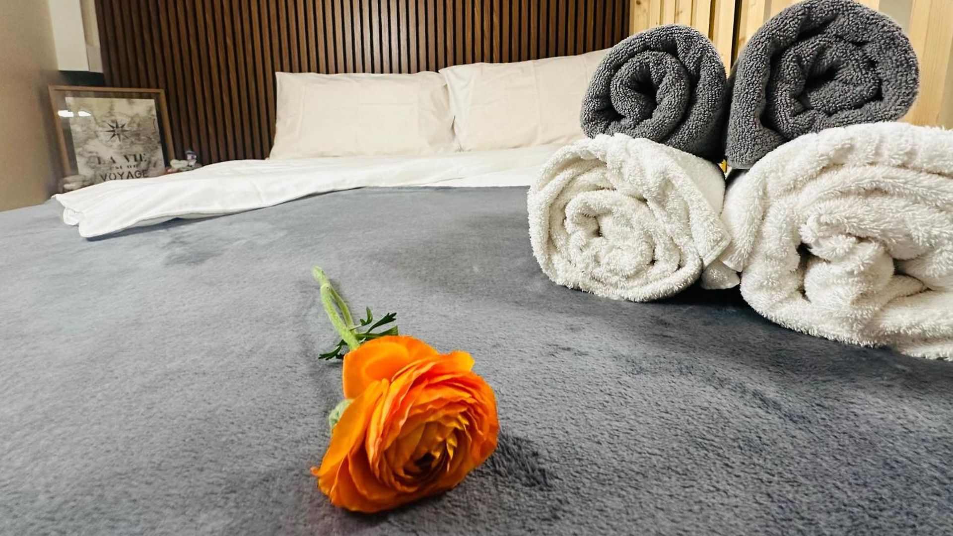 Appartement Amber - Highlights And