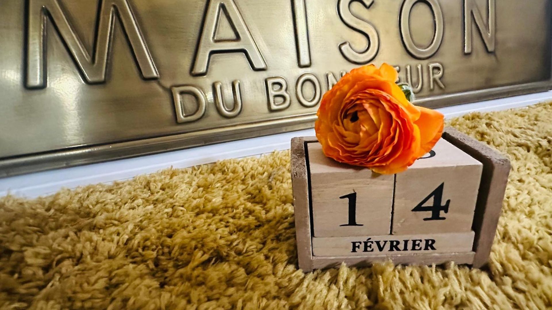 Appartement Amber - Highlights And