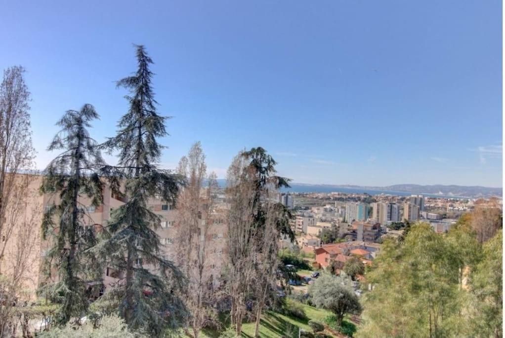 Terrasses De La Corniche, 2p 65m2 Spacieux, Terrasses Mer&montagne, Piscine Et Parking Privé Appartement Nice