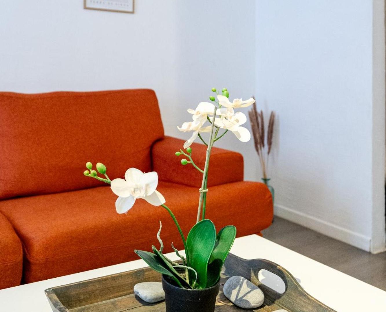 Vieux-nice 2p Climatisé Balcon Appartement Nice