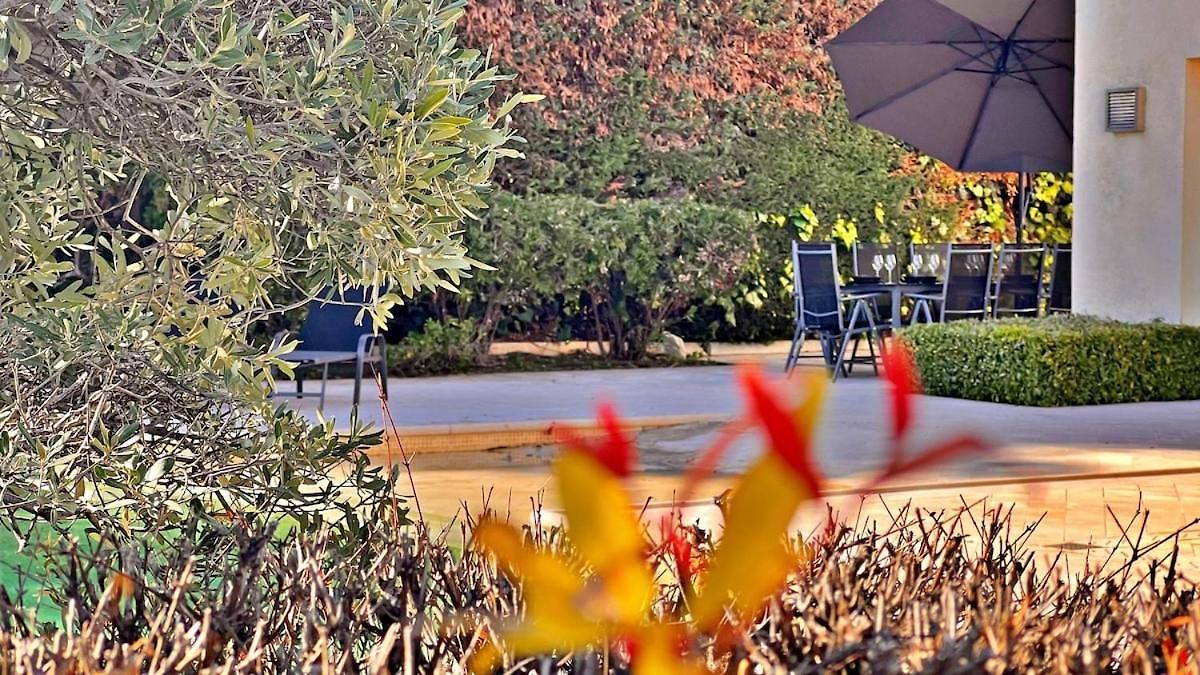 Villa Palm & Sun *
