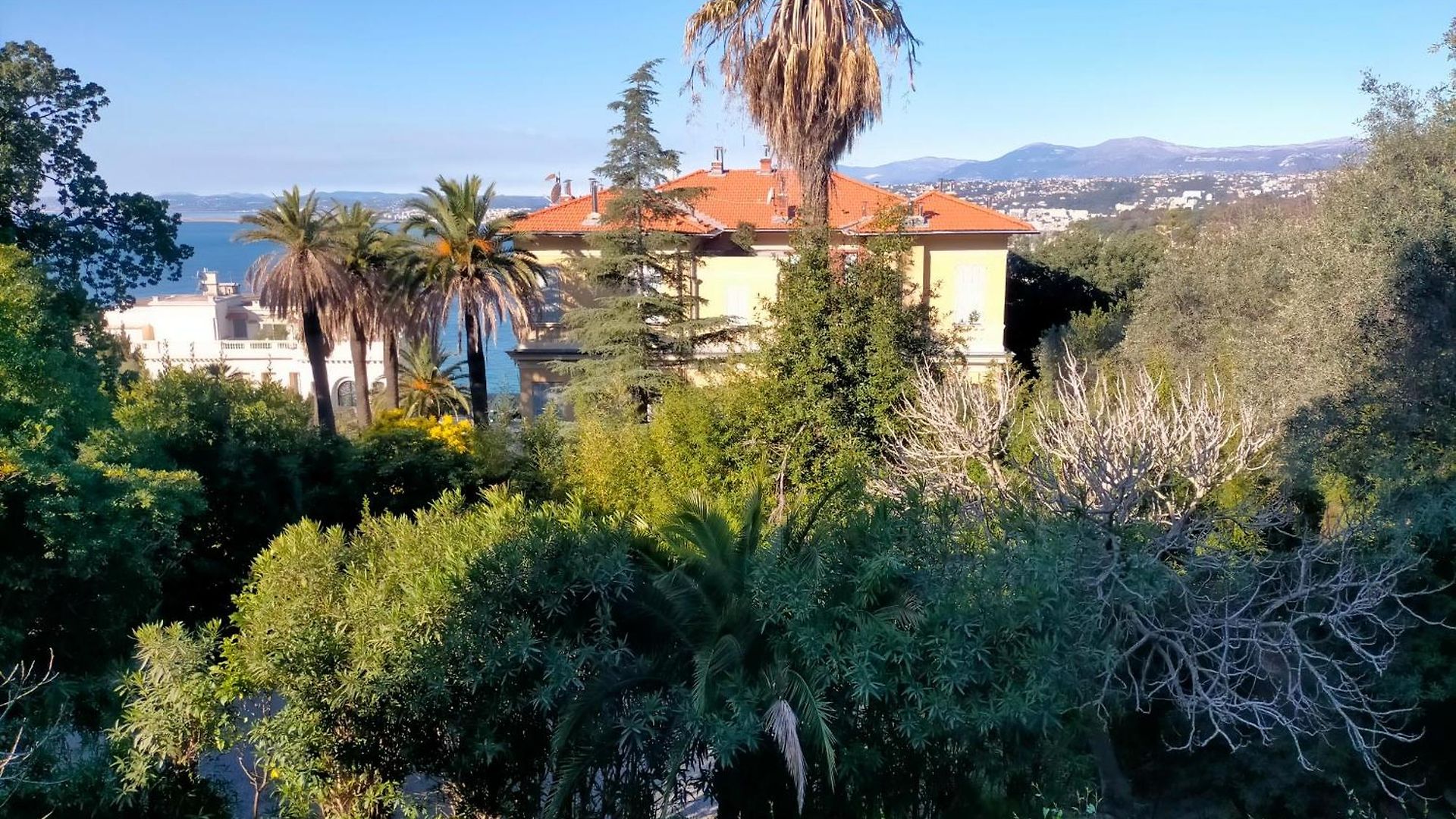 Apartment L'essentiel A