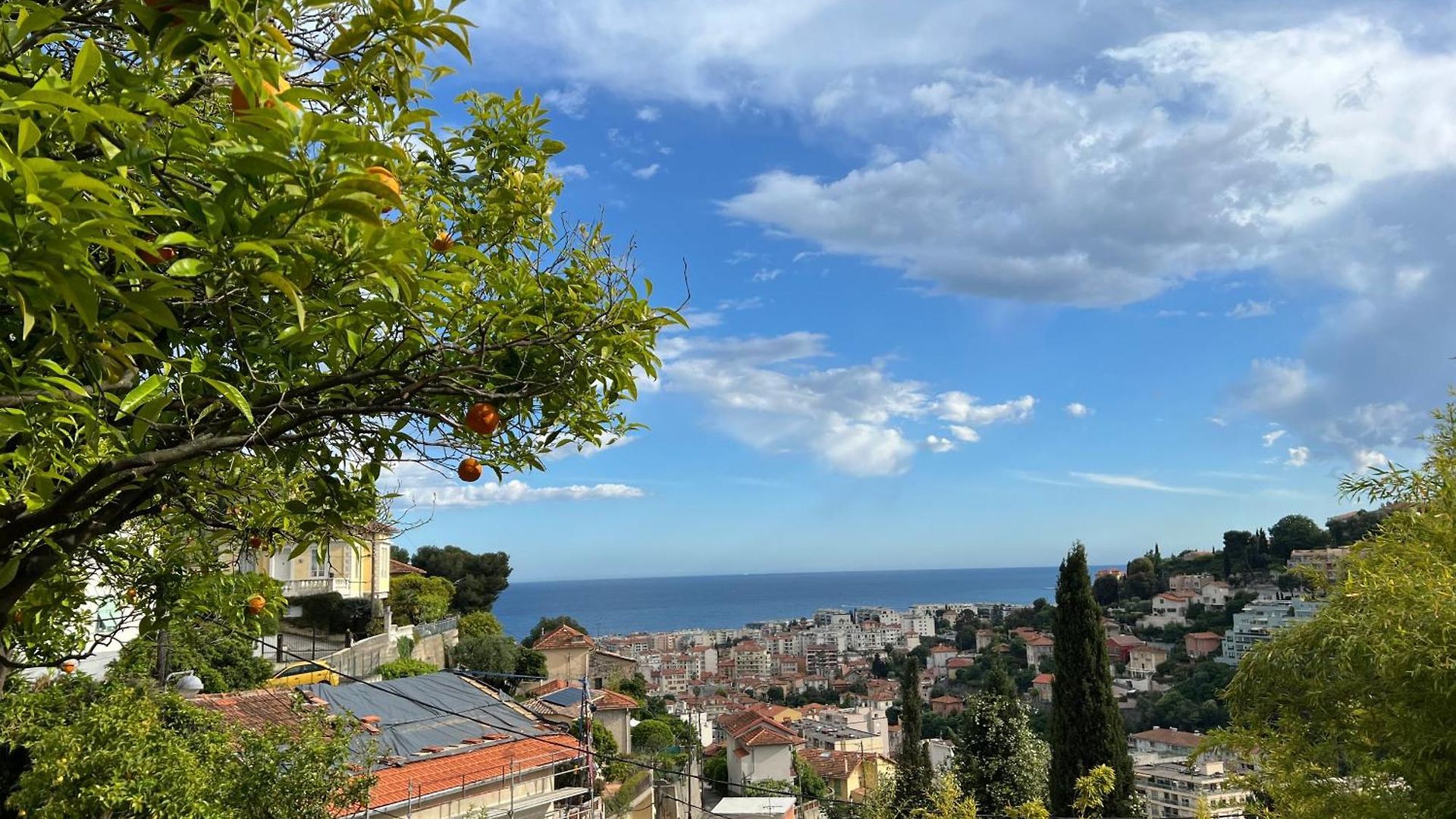 Petit Paradis Perché Au Coeur De * Nice