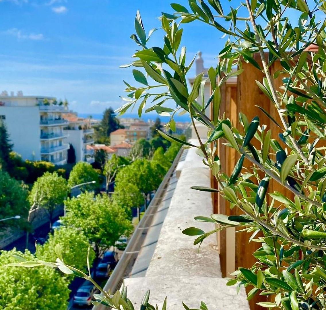 - Little With Sunny Terrace *