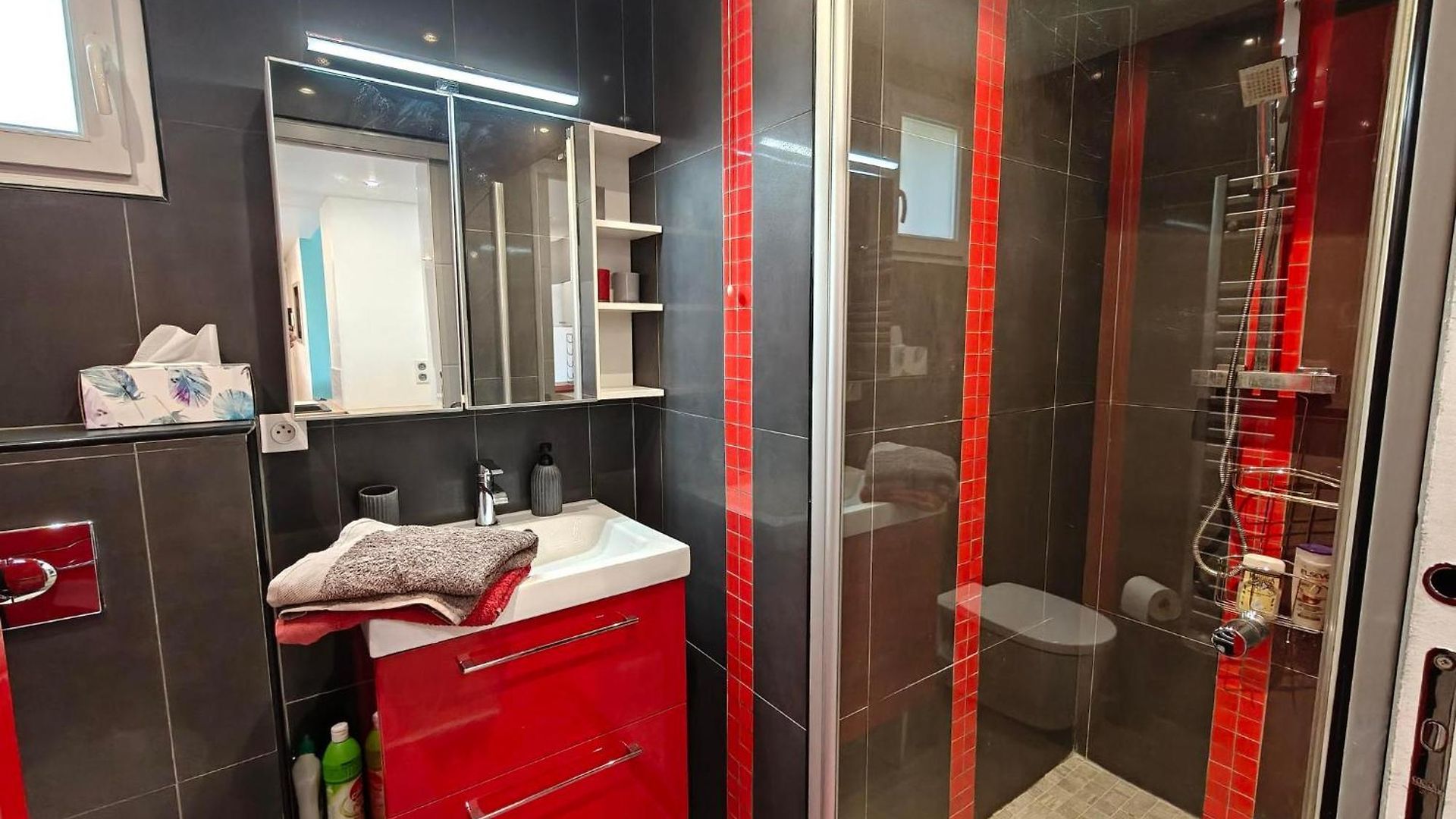 Toit Terrasse Nice-ouest Avec Parking, Clim Et Piscine Apartment Nice