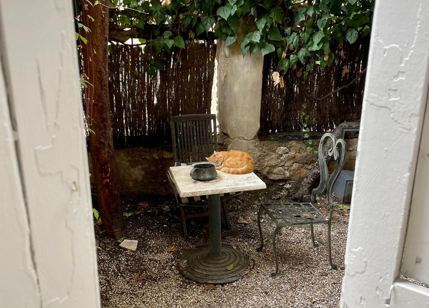 Hotel Garden 3*
