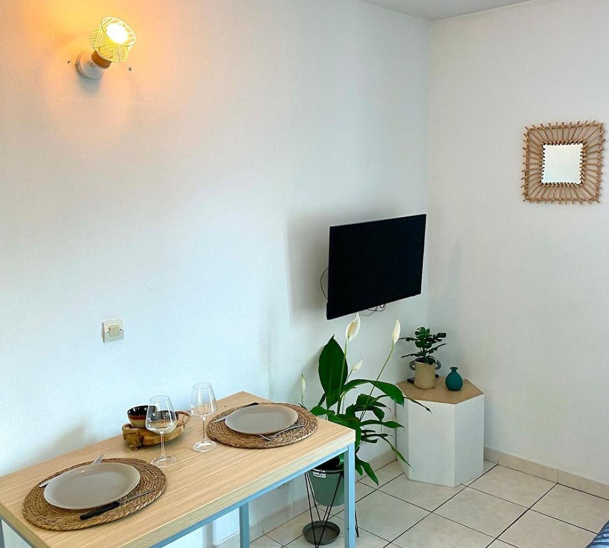 Charming With Swimming Pool Appartement Nice